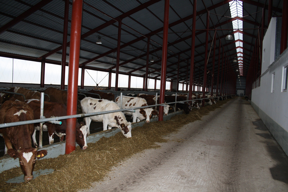 Огородження кормового столу без фіксації ОКС.К.00.000 (6)