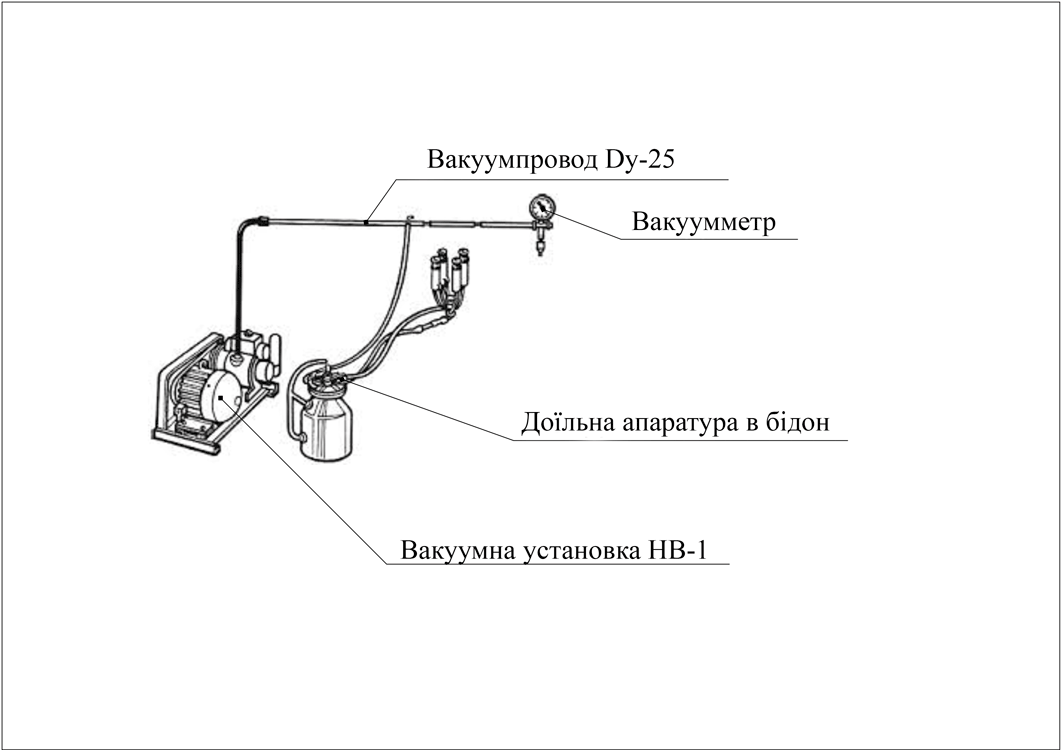 Установка доїльна в бідон (2)